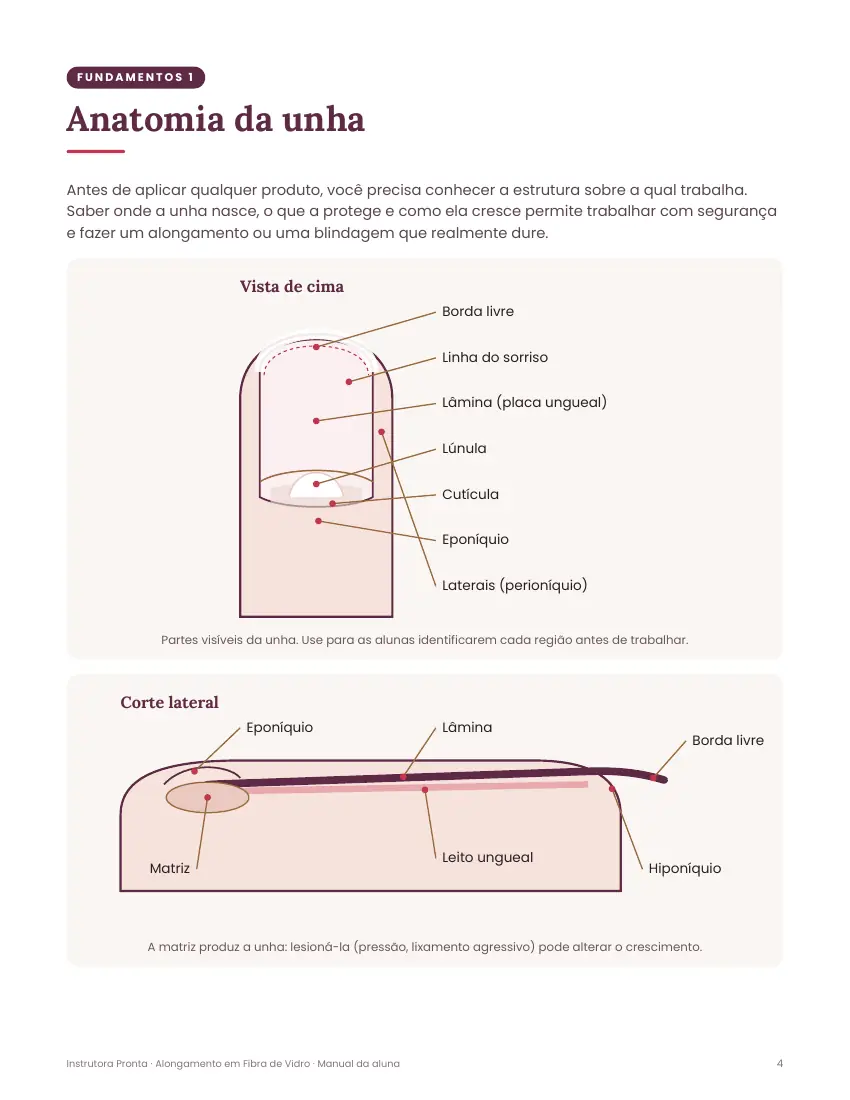 Manual da aluna: Anatomia da unha com ilustrações