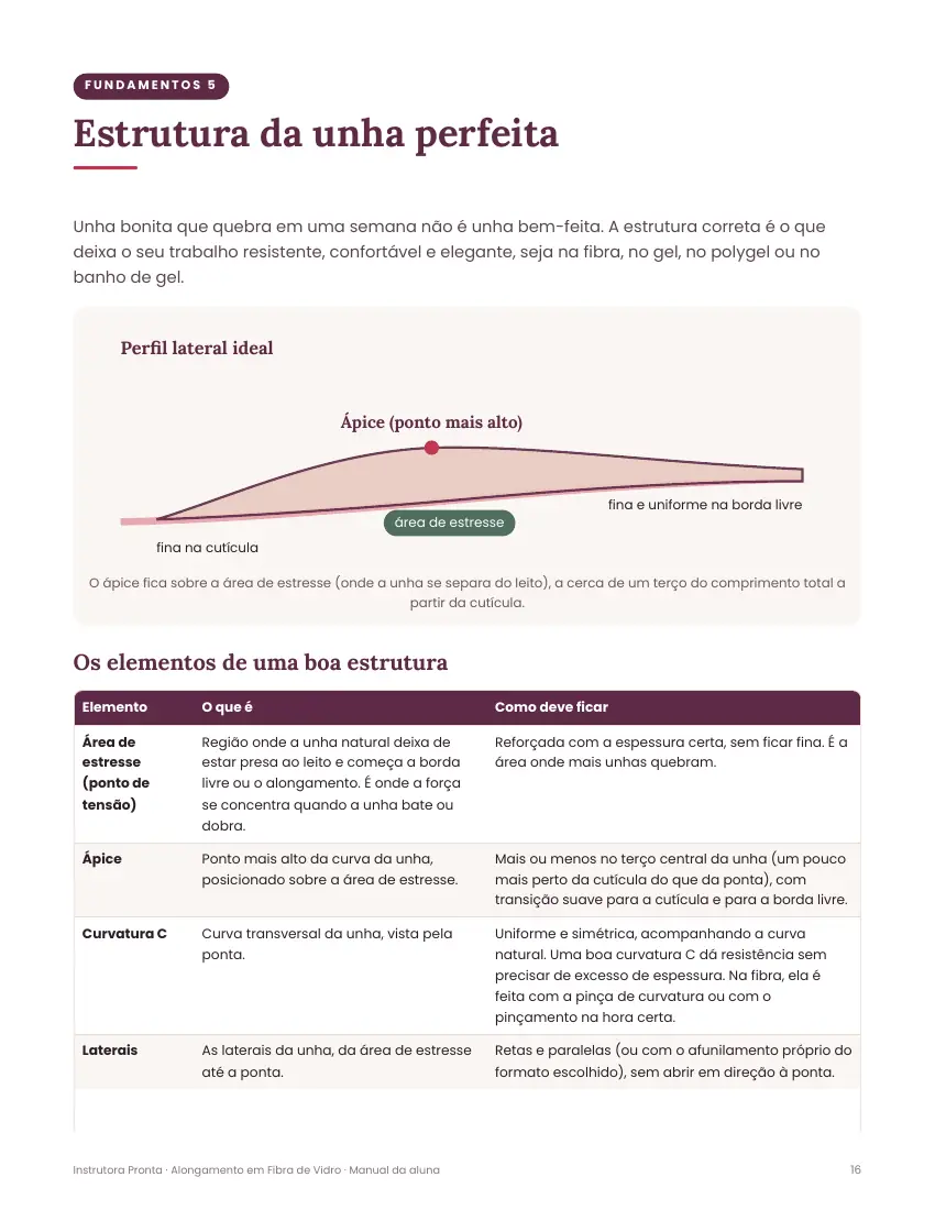 Manual da aluna: Estrutura da unha perfeita: ápice e área de estresse